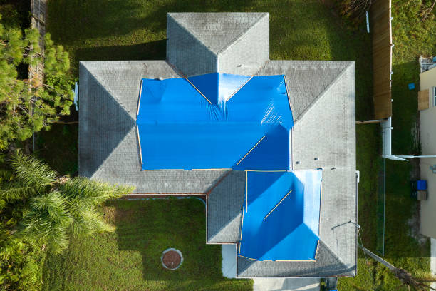 Roof Coating Services in Luna Pier, MI